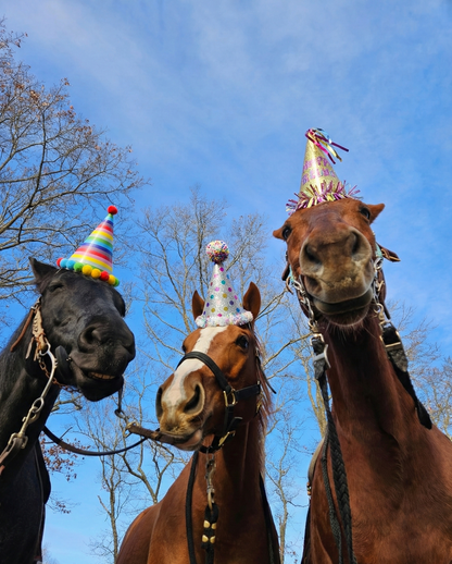 Magic Mane Birthday Package 🎉🎂✨🍰🥳