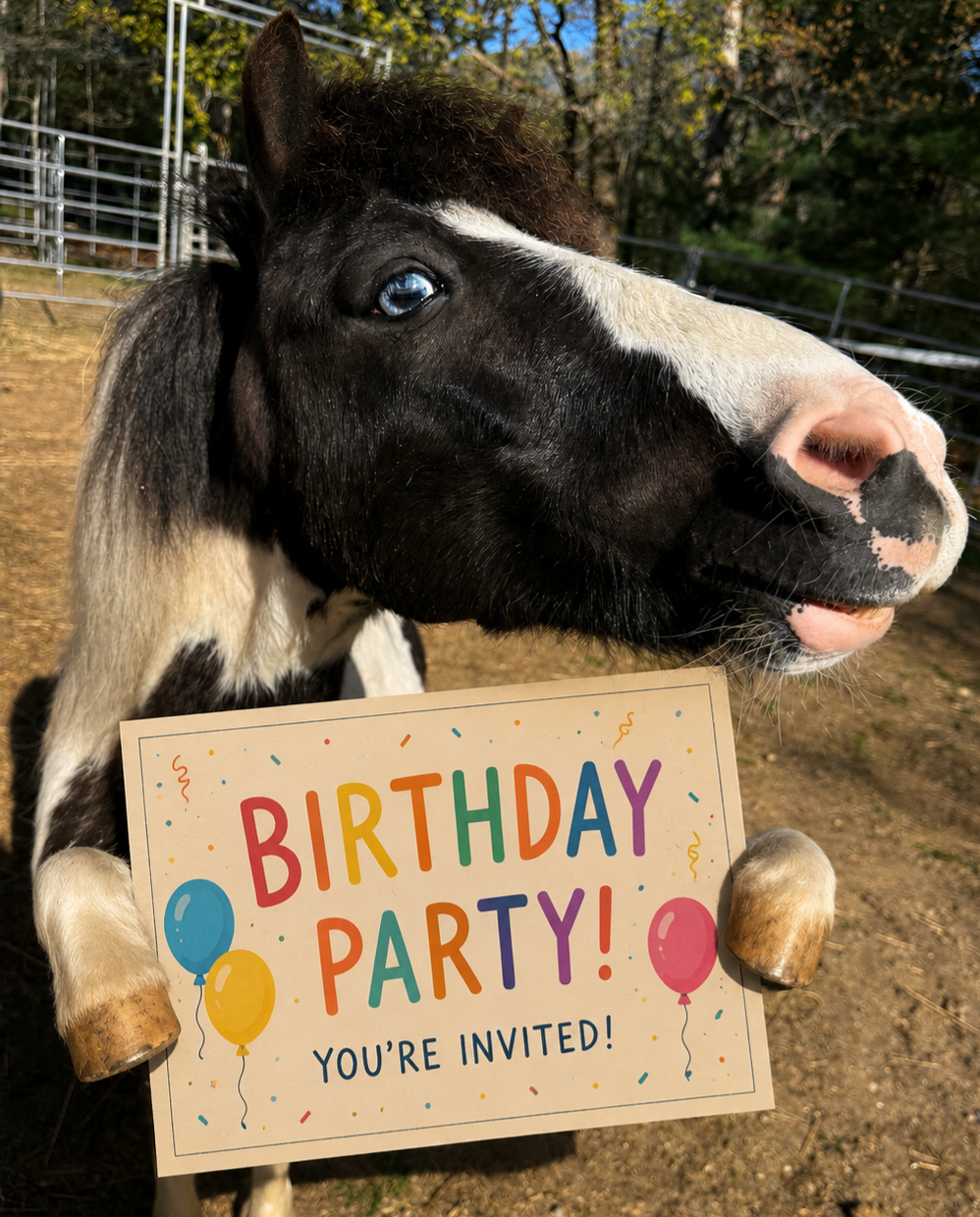 Magic Mane Birthday Package 🎉🎂✨🍰🥳