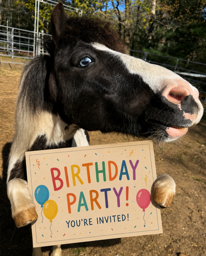 Magic Mane Birthday Package 🎉🎂✨🍰🥳