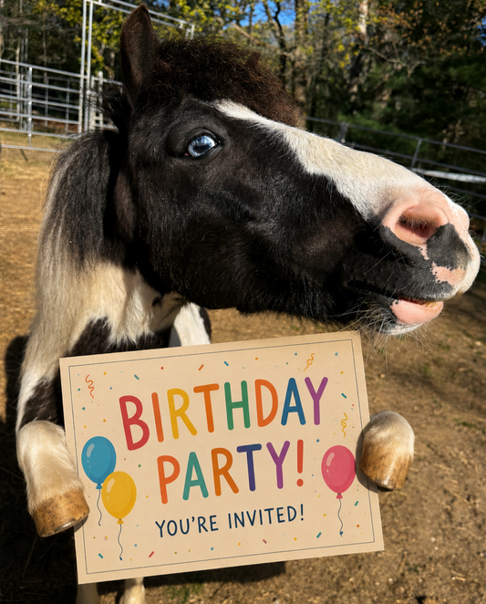Magic Mane Birthday Package 🎉🎂✨🍰🥳